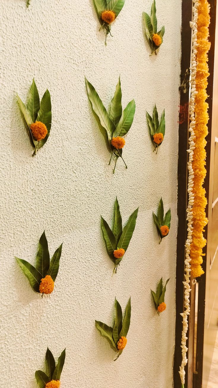 Our Work